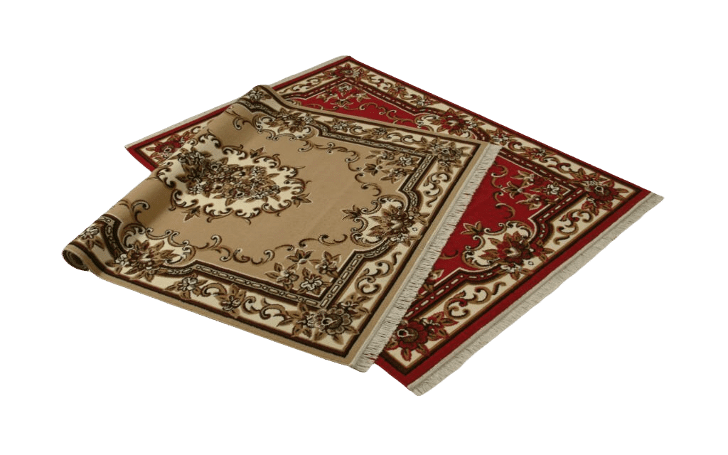 Home 26 In-house professional area rug cleaning