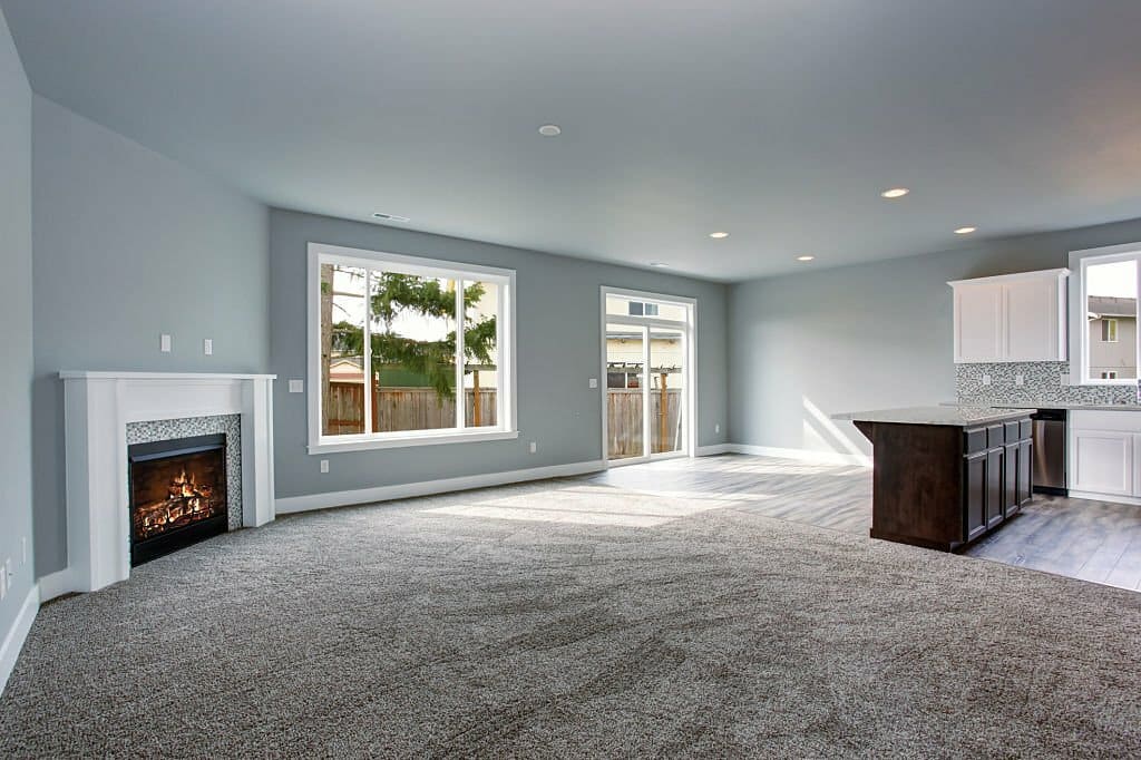 Quality Carpet Cleaner
